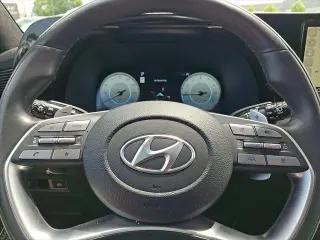 Hyundai PALISADE 2024 AWD Calligraphy 4dr SUV
