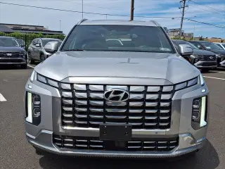 Hyundai PALISADE 2024 AWD Calligraphy 4dr SUV