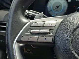 Hyundai PALISADE 2024 AWD Calligraphy 4dr SUV