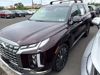 Hyundai PALISADE 2023 AWD Calligraphy 4dr SUV