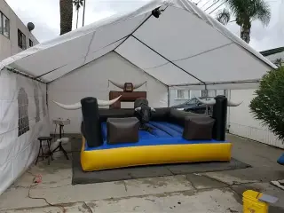 TORO MECANICO*CARPA"SS*BANO"SS