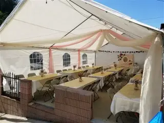 TORO MECANICO*CARPA"SS*BANO"SS