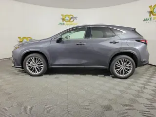 2024 LEXUS NX
