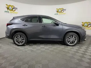 2024 LEXUS NX