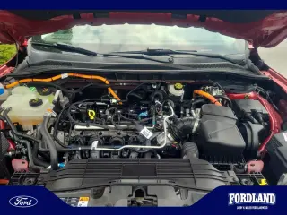 Ford Escape Hybrid 2021 AWD SEL 4dr SUV