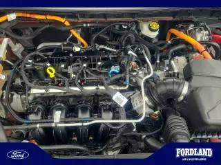 Ford Escape Hybrid 2021 AWD SEL 4dr SUV