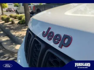 Jeep Grand Cherokee 2020 4x4 Trailhawk 4dr SUV