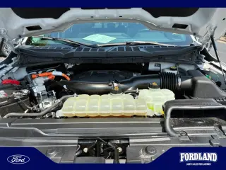 Ford F-150 2021 4x4 XL 4dr SuperCrew 6.5 ft. SB