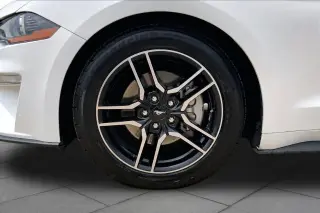 Ford Mustang 2019 EcoBoost 2dr Fastback
