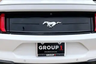 Ford Mustang 2019 EcoBoost 2dr Fastback