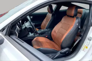 Ford Mustang 2019 EcoBoost 2dr Fastback