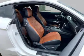 Ford Mustang 2019 EcoBoost 2dr Fastback