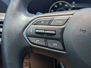 Hyundai PALISADE 2022 Calligraphy 4dr SUV