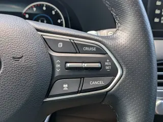 Hyundai PALISADE 2022 Calligraphy 4dr SUV