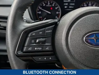 Subaru Crosstrek 2024 AWD Wilderness 4dr Crossover