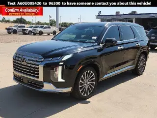 Hyundai PALISADE 2023 AWD Calligraphy 4dr SUV
