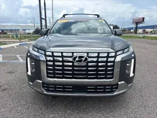 Hyundai PALISADE 2024 Calligraphy 4dr SUV