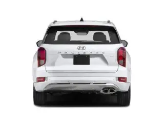 Hyundai PALISADE 2022 Calligraphy 4dr SUV