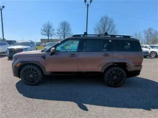 Hyundai SANTA FE 2025 Calligraphy 4dr SUV