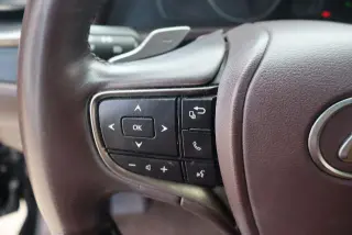 Lexus ES 300h 2019 Luxury 4dr Sedan