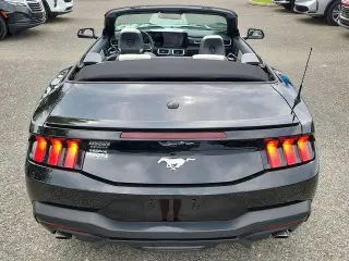 Ford Mustang 2024 EcoBoost 2dr Convertible