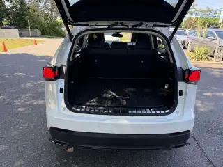 Lexus NX 300 2019 AWD 4dr Crossover