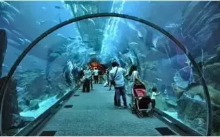 MEDICOS GENERALES PARA DUBAI