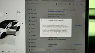 Tesla Model Y 2022 AWD Performance 4dr Crossover