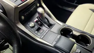 Lexus NX 300 2021 F SPORT 4dr Crossover