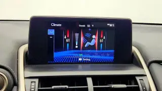 Lexus NX 300 2021 F SPORT 4dr Crossover