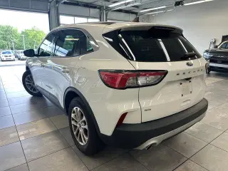 Ford Escape 2021 SE 4dr SUV