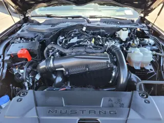 Ford Mustang 2024 EcoBoost 2dr Fastback