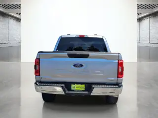 Ford F-150 2023 4x4 Platinum 4dr SuperCrew 5.5 ft. SB