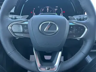 2024 LEXUS RX