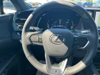 2024 LEXUS RX