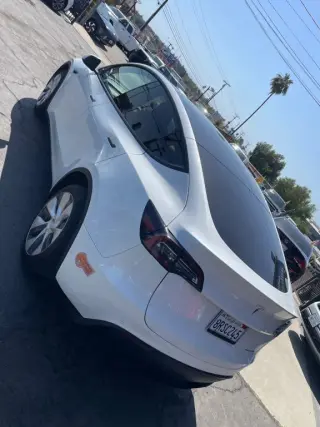 2020 TESLA MODEL Y