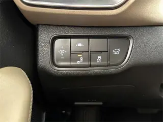 Hyundai SANTA FE 2020 Limited 2.0T 4dr Crossover
