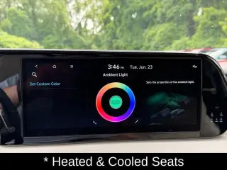 Hyundai PALISADE 2024 AWD Calligraphy 4dr SUV