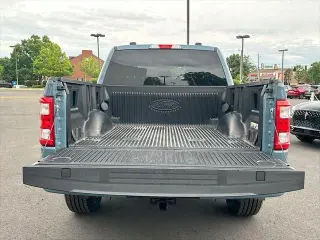 Ford F-150 2023 4x4 Platinum 4dr SuperCrew 6.5 ft. SB
