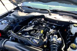 Ford Mustang 2025 EcoBoost 2dr Fastback