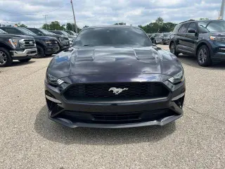 Ford Mustang 2022 EcoBoost 2dr Fastback