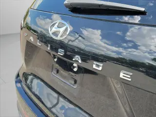 Hyundai PALISADE 2024 AWD Calligraphy 4dr SUV