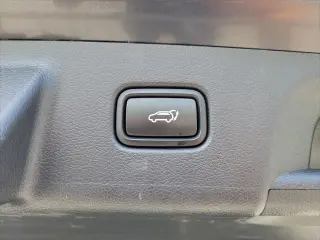 Hyundai PALISADE 2024 AWD Calligraphy 4dr SUV