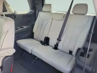 Hyundai PALISADE 2024 AWD Calligraphy 4dr SUV