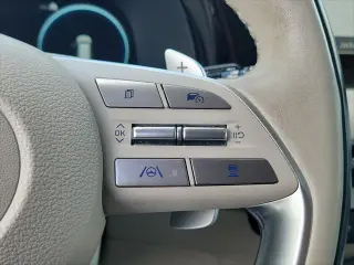 Hyundai PALISADE 2024 AWD Calligraphy 4dr SUV
