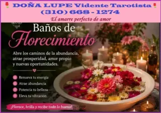 DOÑA LUPE Vidente Tarotista