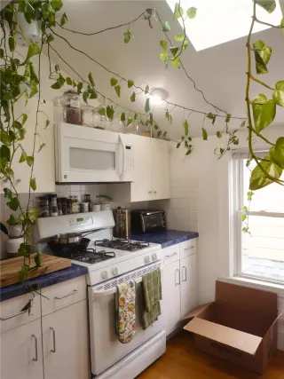 Propiedad en alquiler con 2 habitaciones y 1 baño en Somerville