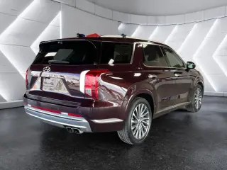 Hyundai PALISADE 2023 AWD Calligraphy 4dr SUV