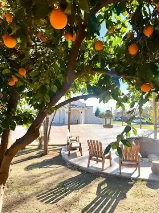 HACIENDA EL OASIS VENUE