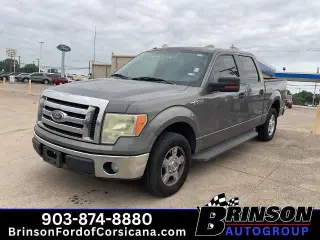Ford F-150 2010 4x2 XLT 4dr SuperCrew Styleside 5.5 ft. SB